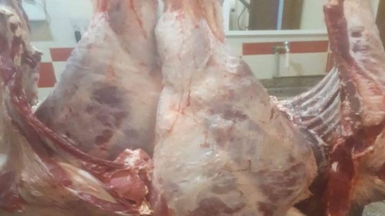 حجز 700 كيلوغرام من اللحوم الفاسدة في مجزرة سرية بطنجة