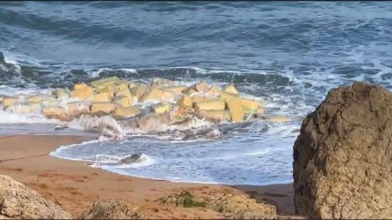 بحر آسفي يلفظ شحنات ضخمة من المخدرات واستنفار أمني واسع