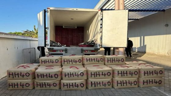 الديستي.. قناصة المجرمين! ضربات استباقية تُجهض مخططات تهريب المخدرات وتُسقط أخطر الشبكات