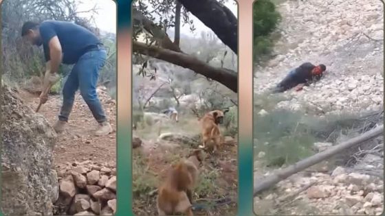 جريمة مروعة تهز صفرو.. ثلاثة أشخاص يقتلون فلاحا وزوجته توثق الجريمة بفيديو