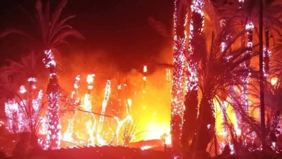 (الفيديو) ألسنة النيران أتت على العديد من أشجار النخيل بواحة افرا أكادير الهناء بإقليم طاطا