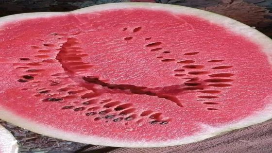 حالة طوارئ في مستشفى تارودانت بعد تسمم جماعي بسبب “الدلاح”