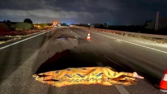 حادثة مأساوية: كلب يتسبب في مصرع ثلاثة أشخاص على الطريق السيار قرب أزمور