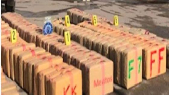 ضربة قوية لأمن طنجة ضد عصابات ترويج المخدرات