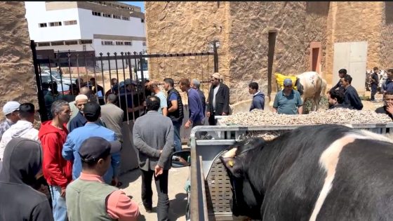 الجزارون في آسفي يتحدّون القرارات الرسمية: هل هي مضاربة أم تحايل ممنهج؟