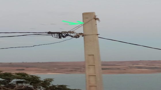 كارثة كهربائية في قلب السهول..