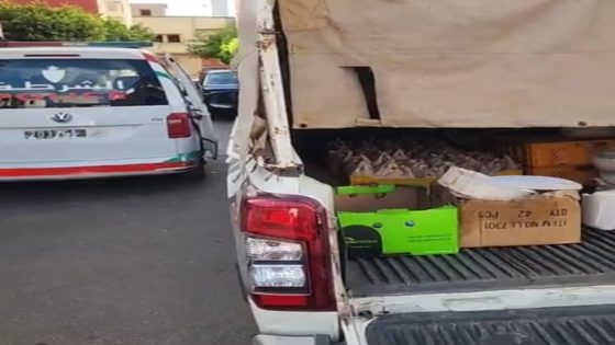 مصلحة المستهلك (onssa) تبرّئ “سعاد” من تهمة استخدام دجاج فاسد