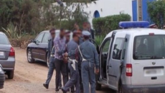 بني كرفط.. الدرك الملكي يحجز طناً و400 كيلوغرام من “الكيف” الخام بإقليم العرائش