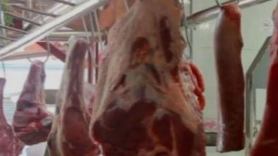 خمس سنوات سجناً لجزار تورّط في ترويج لحوم فاسدة بمدينة سلا