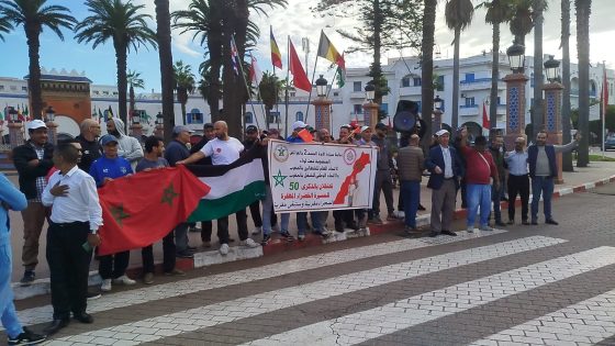 احتفال اتحاد العام لشغالين قطاع سيارات الأجرة بالعرائش بذكرى المسيرة الخضراء