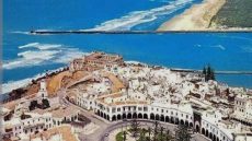 هل أصبحت نوادي الرياضة تتحكم فيها الأحزاب السياسية؟ حين تتحول الملاعب إلى منصات انتخابية