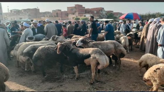 غلاء أسعار خروف العيد بالمغرب يربك الأسر ويثير مخاوف اجتماعية