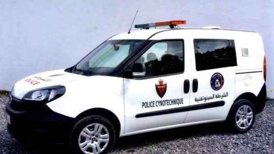 ميناء العرائش تحت المجهر… حين تصبح حاسة الشم خط الدفاع الأول ضد شبكات التهريب